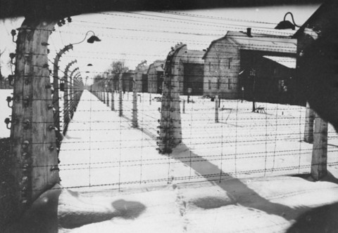 auschwitz-22.jpg