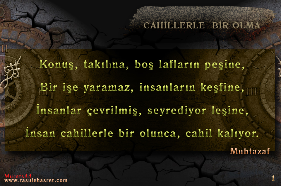 Cahillerle bir olma