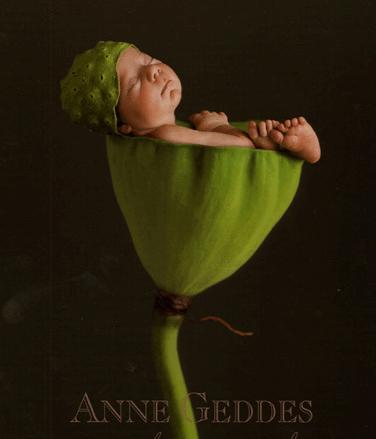 anne_geddes.jpg