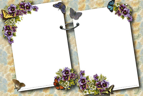 Transparent_%20Butterflies_Photo-Frame.png