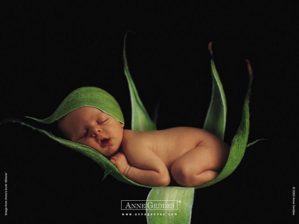 Anne_Geddes_pea_in_a_pod.jpg