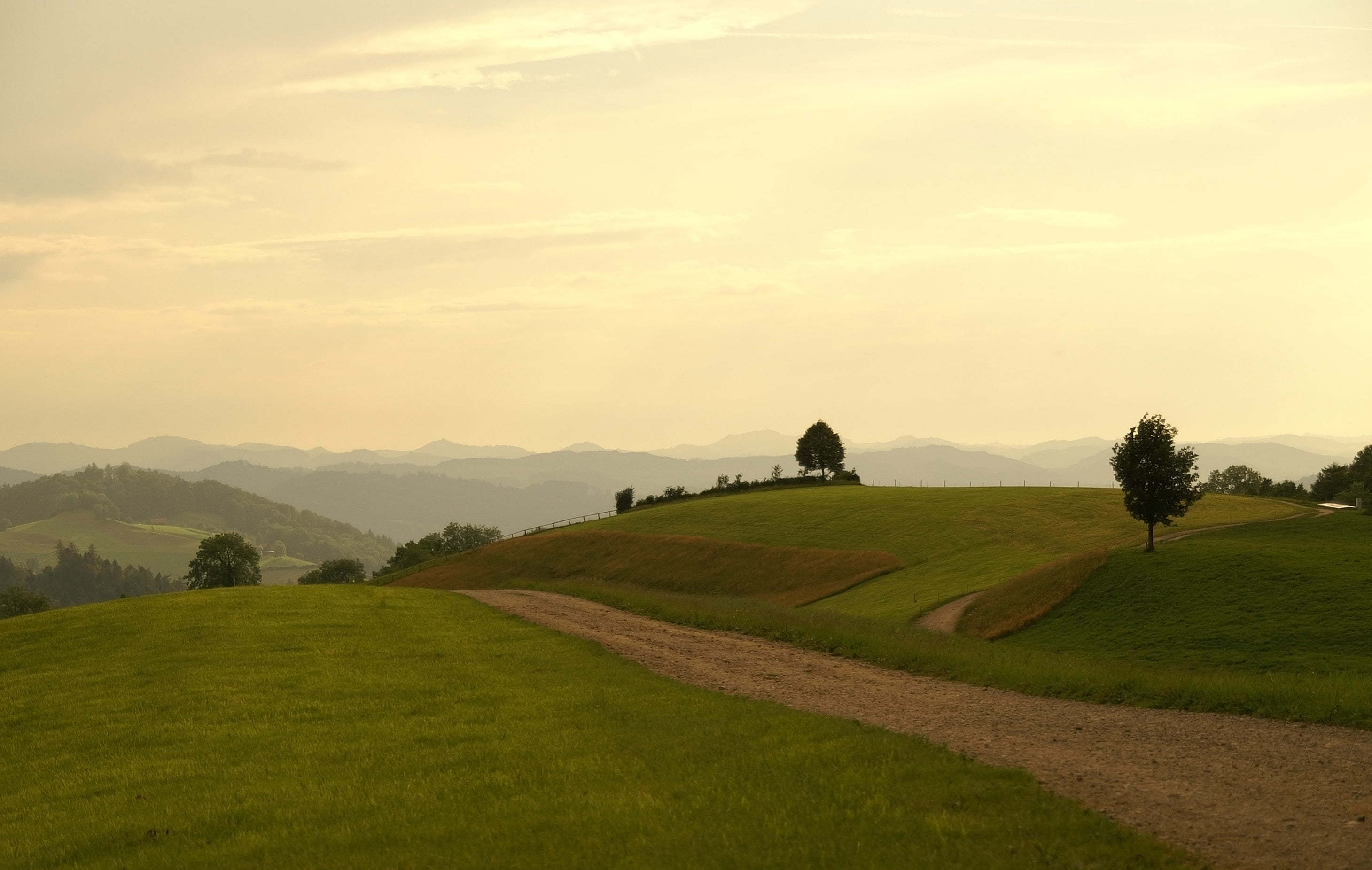 freudenberg_sg_isvicre-1301190493.jpg