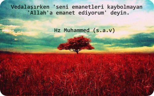 Neden Allah’a Emanet Ederiz?