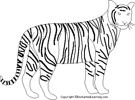 Tiger_bw_big.GIF