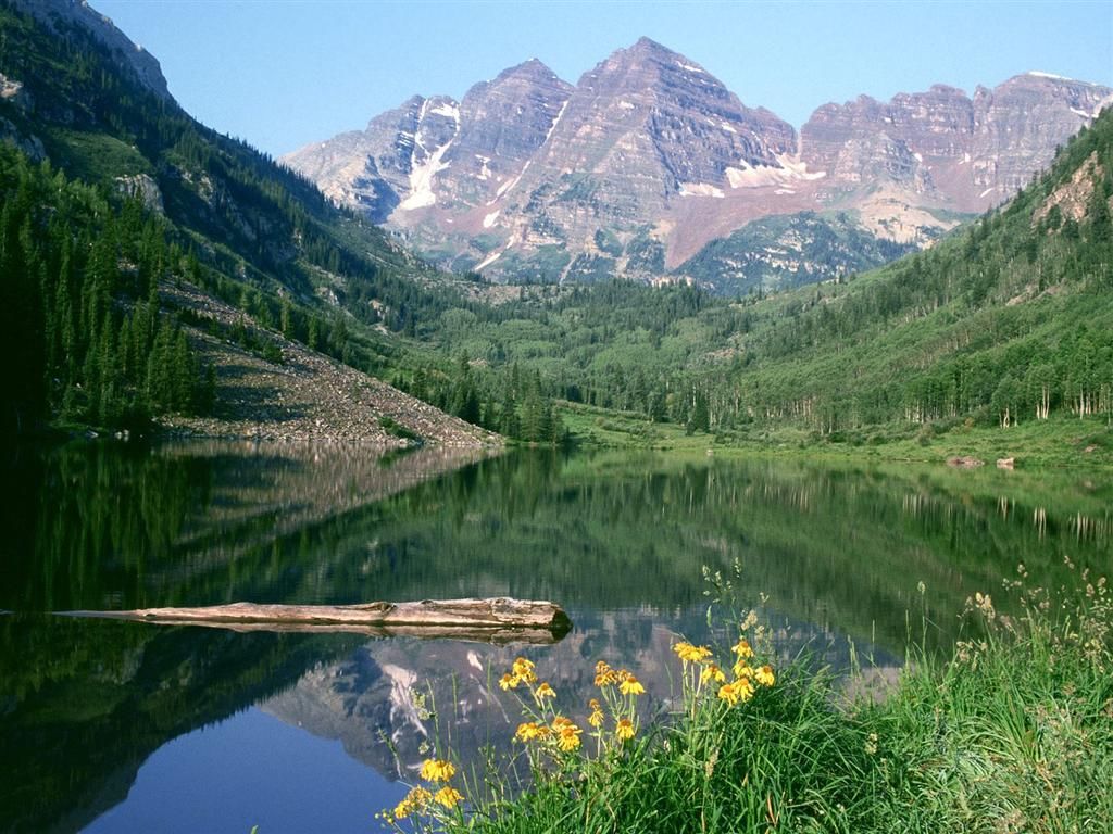 orman-gol-cicek-kayalik-daglar-manzara.jpg