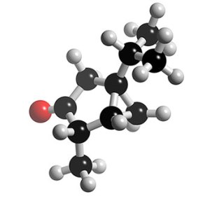 molecule.jpg