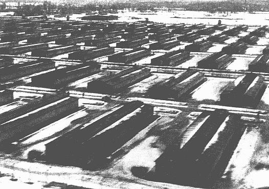 auschwitz-3.jpg